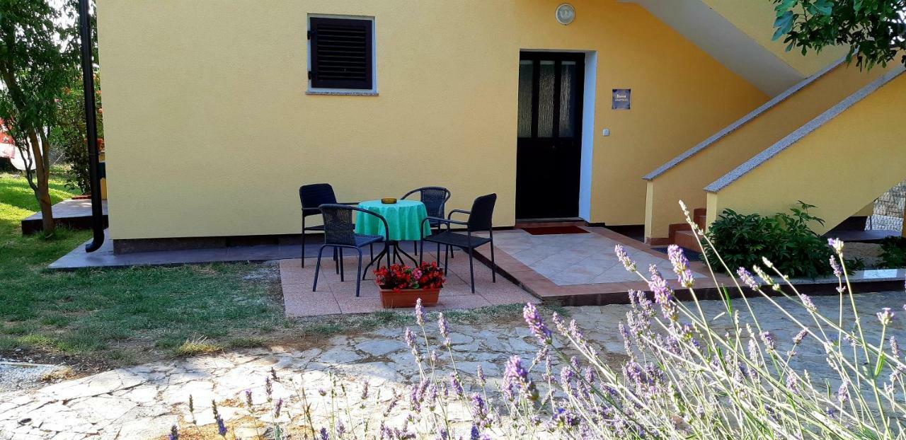 Vesna Apartment بولا المظهر الخارجي الصورة